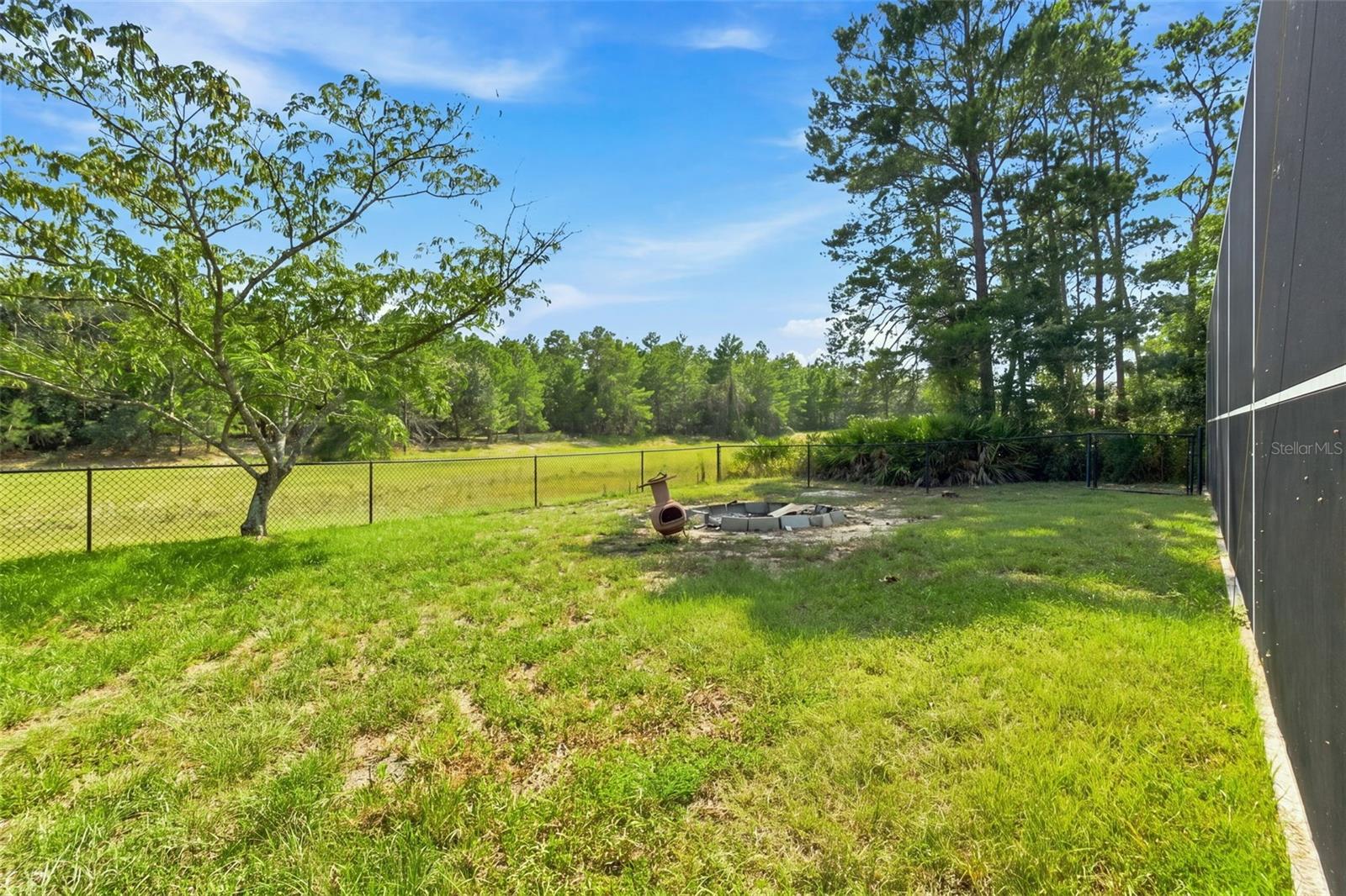 11200 Woodland Waters Blvd Property Photo 40