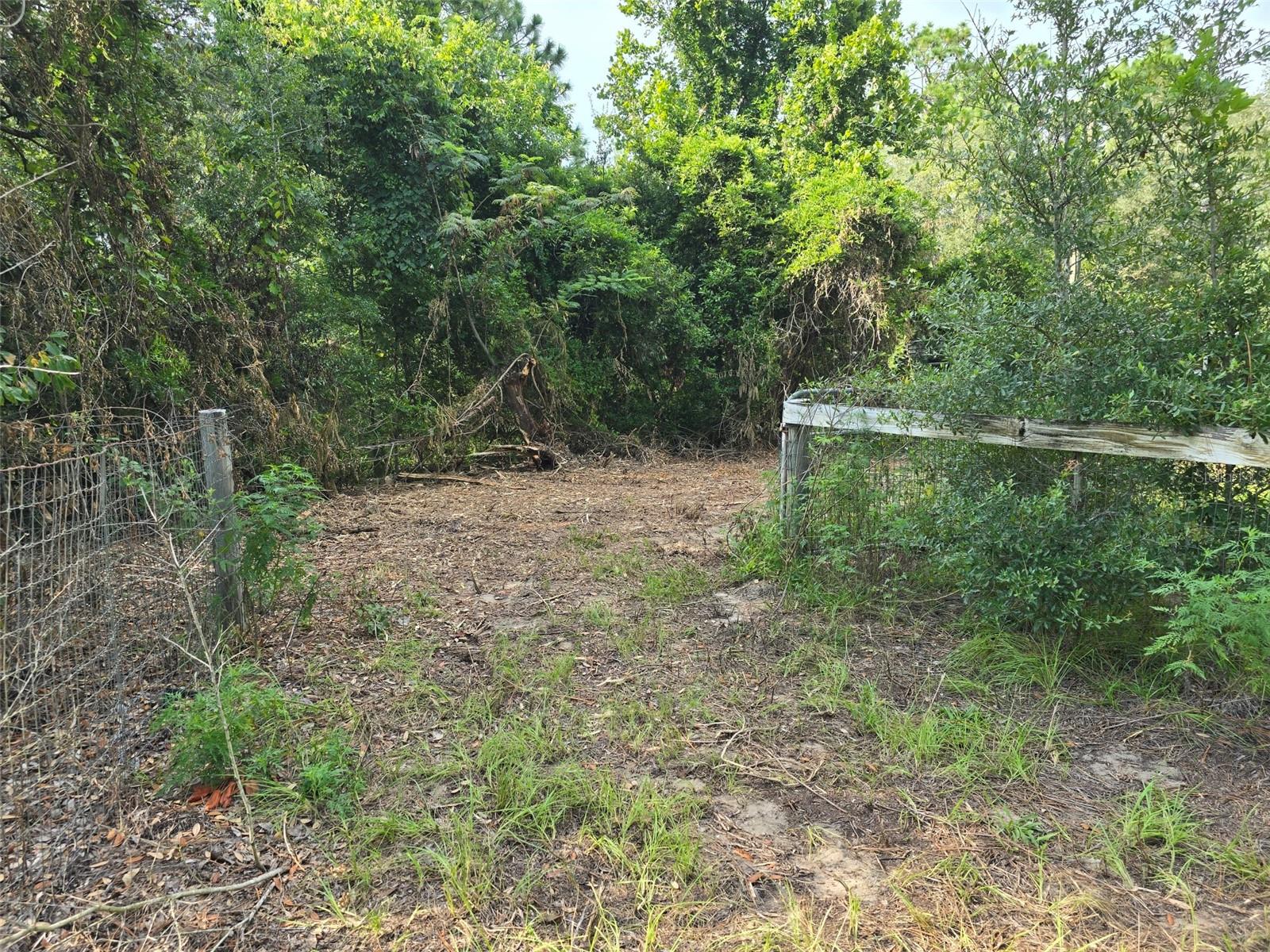 650 Ne 138 Ave Property Photo 2