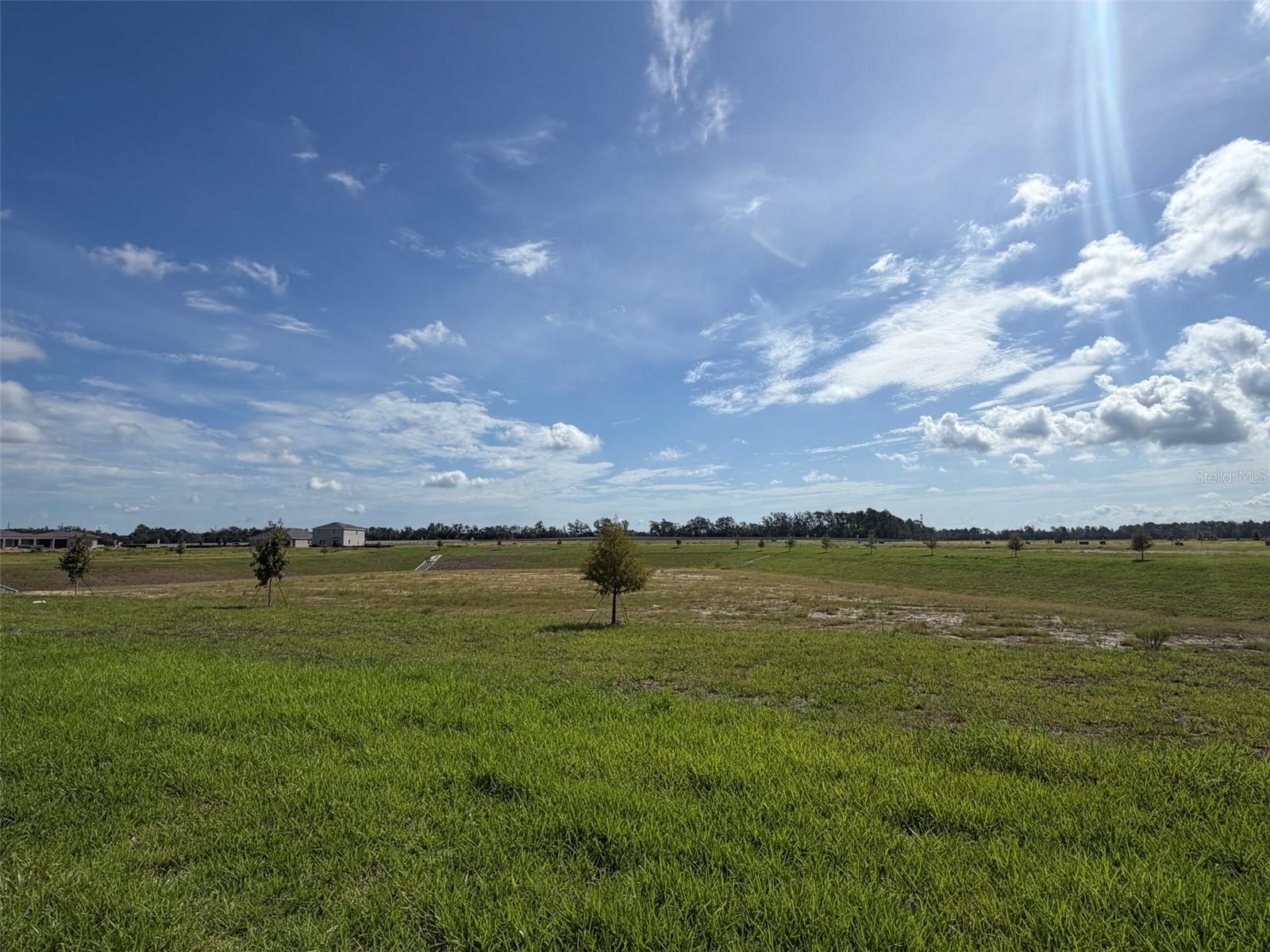 18716 Highland Dew St Property Photo 15