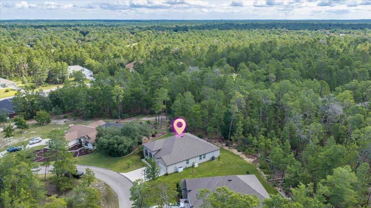 7 Bellis Ct Property Photo 45