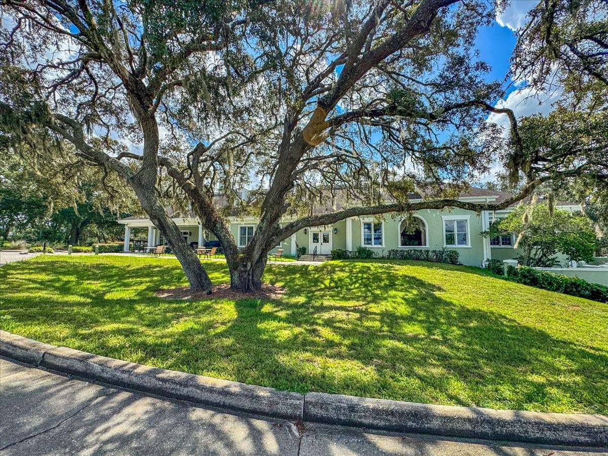 7 Bellis Ct Property Photo 50