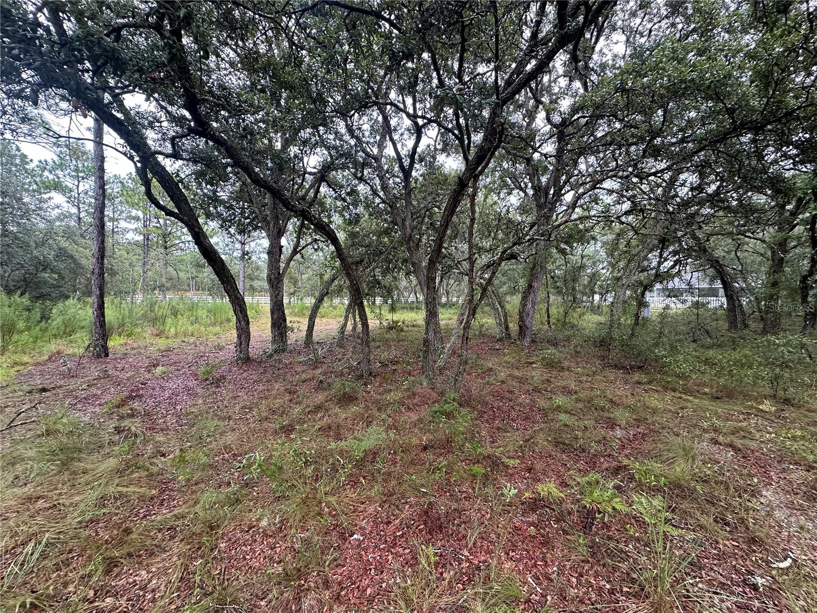 10361 Thrasher Ave Property Photo 38