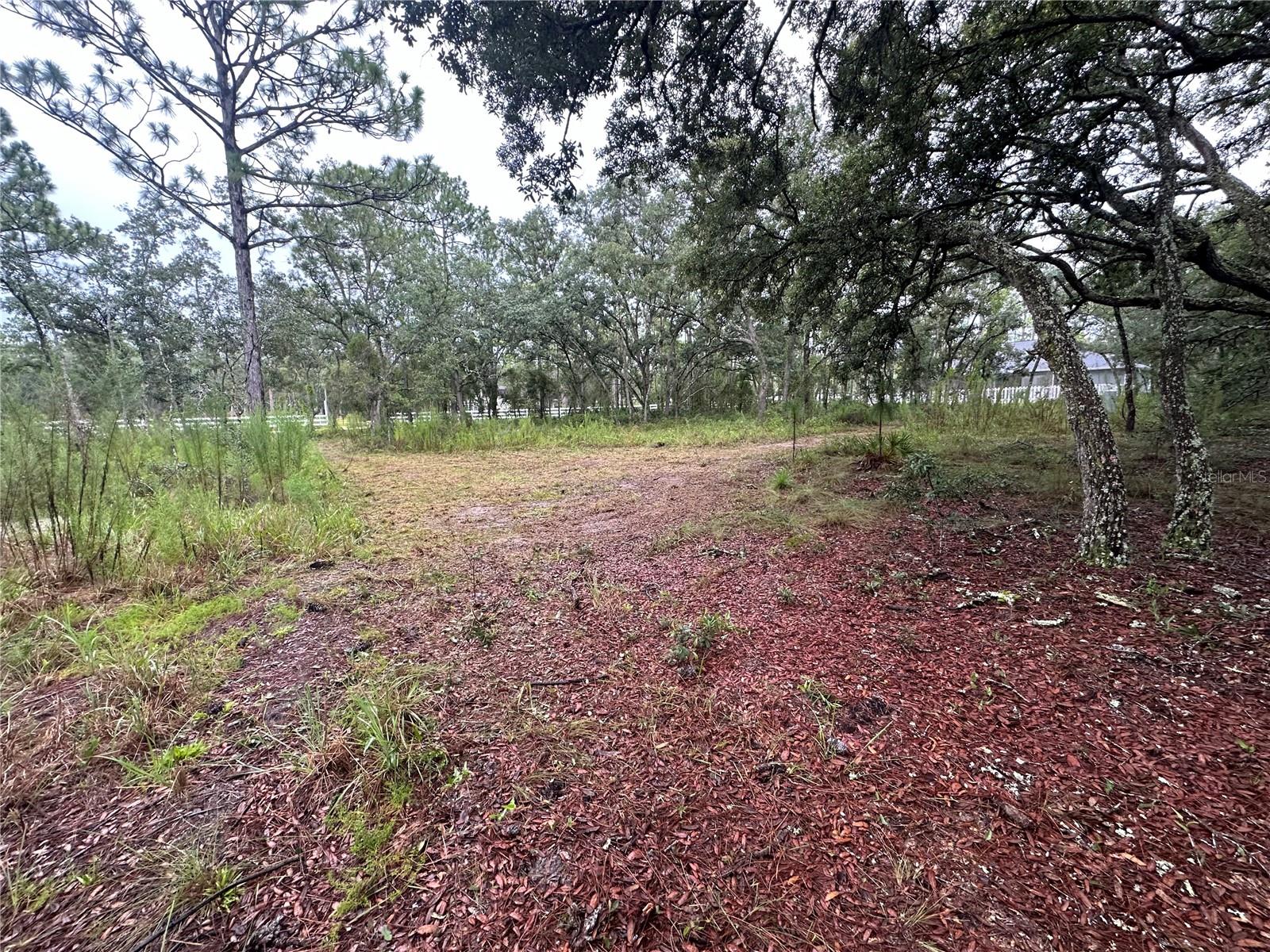 10361 Thrasher Ave Property Photo 39