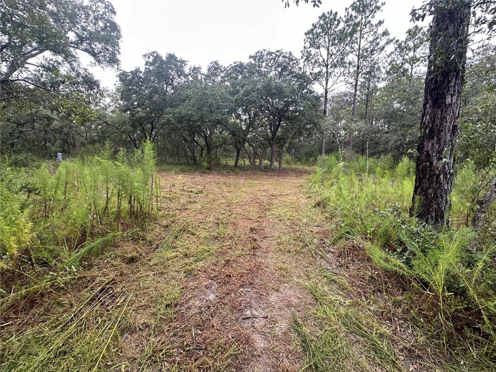 10361 Thrasher Ave Property Photo 41
