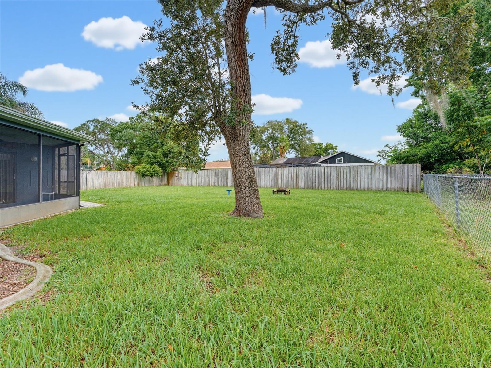 8389 Camphor Dr Property Photo 54