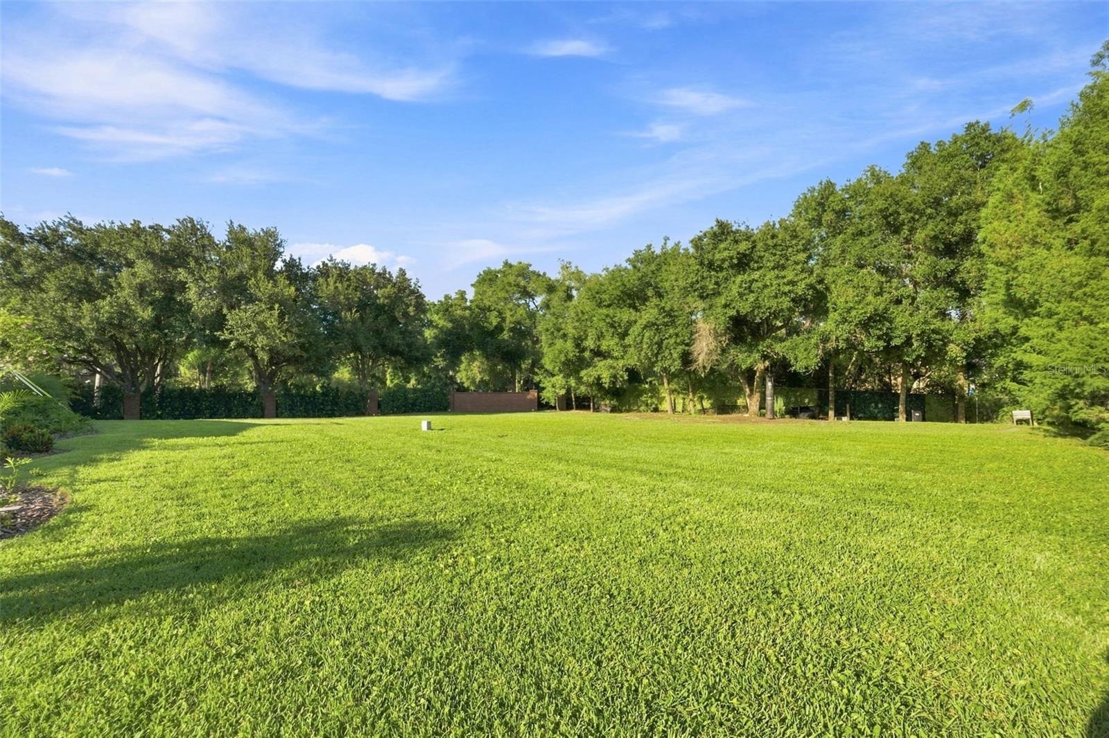 1422 Oak Meadow Pt Property Photo 91