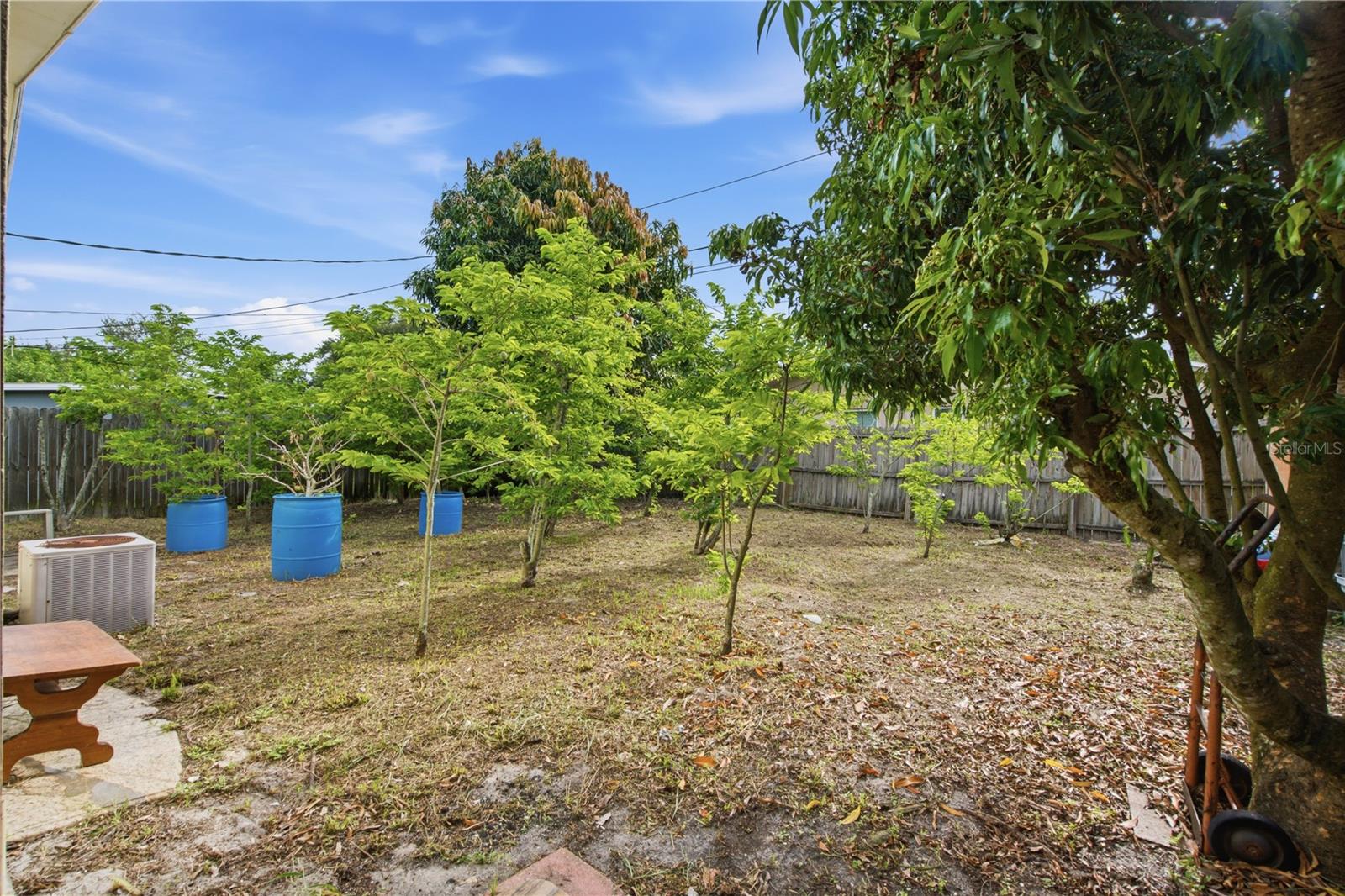 1615 Palm Way Property Photo 14