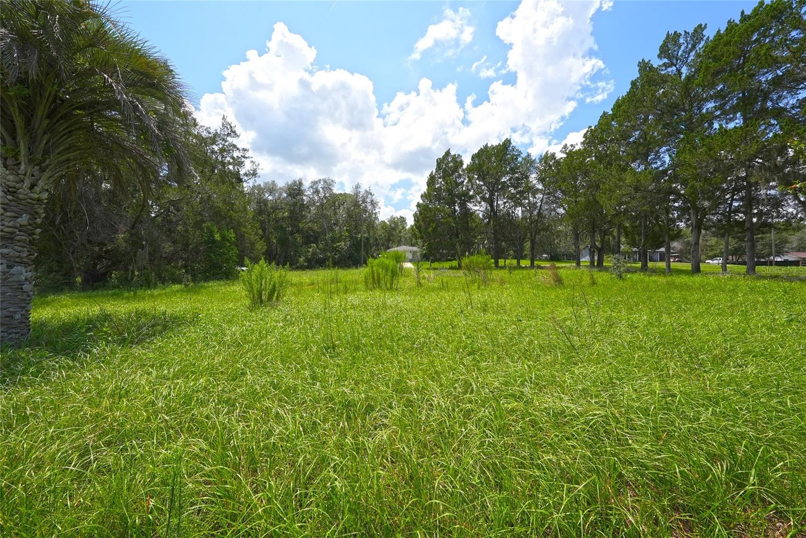 3577 E Kirby Ln Property Photo 19