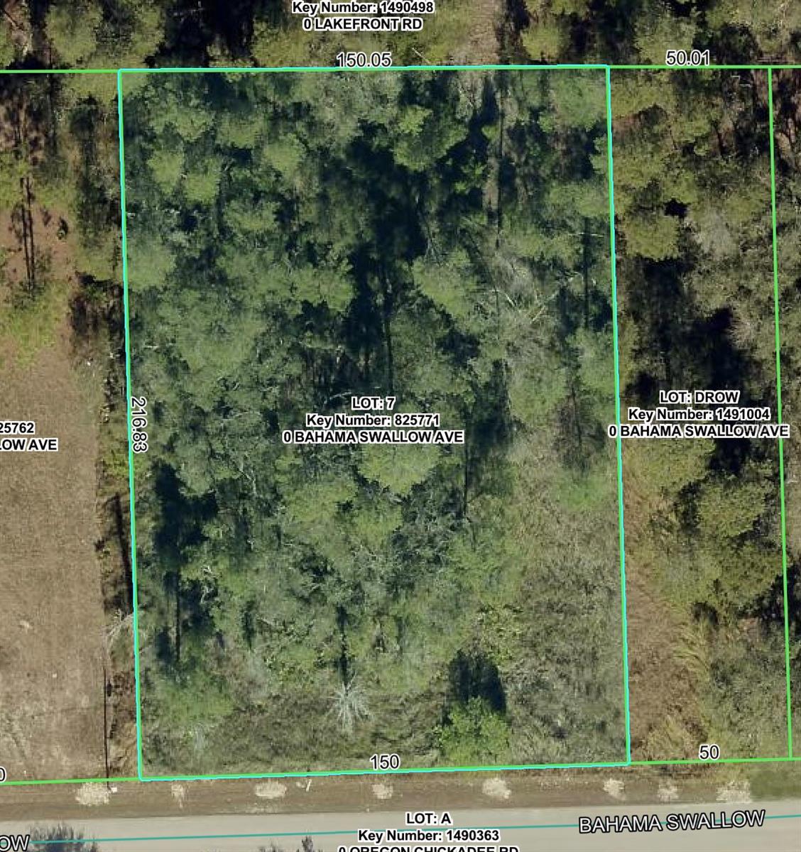 7277 Bahama Swallow Ave Property Photo 1