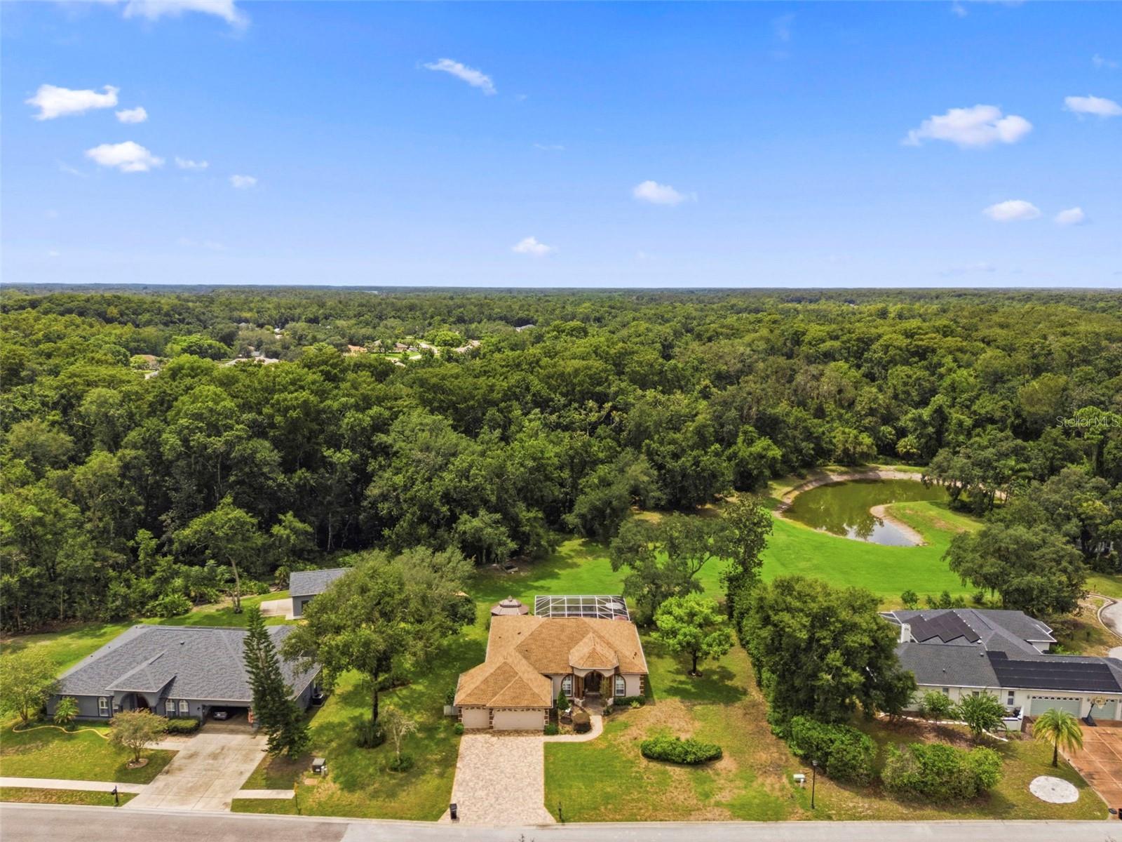 10531 Miracle Ln Property Photo 61