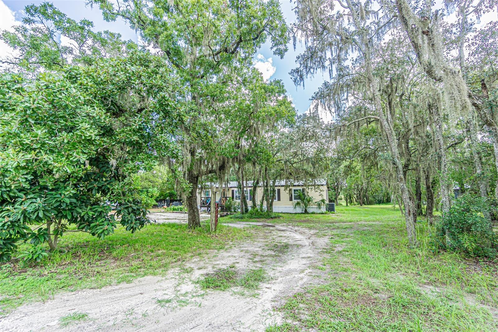 11420 English Walnut St Property Photo 3