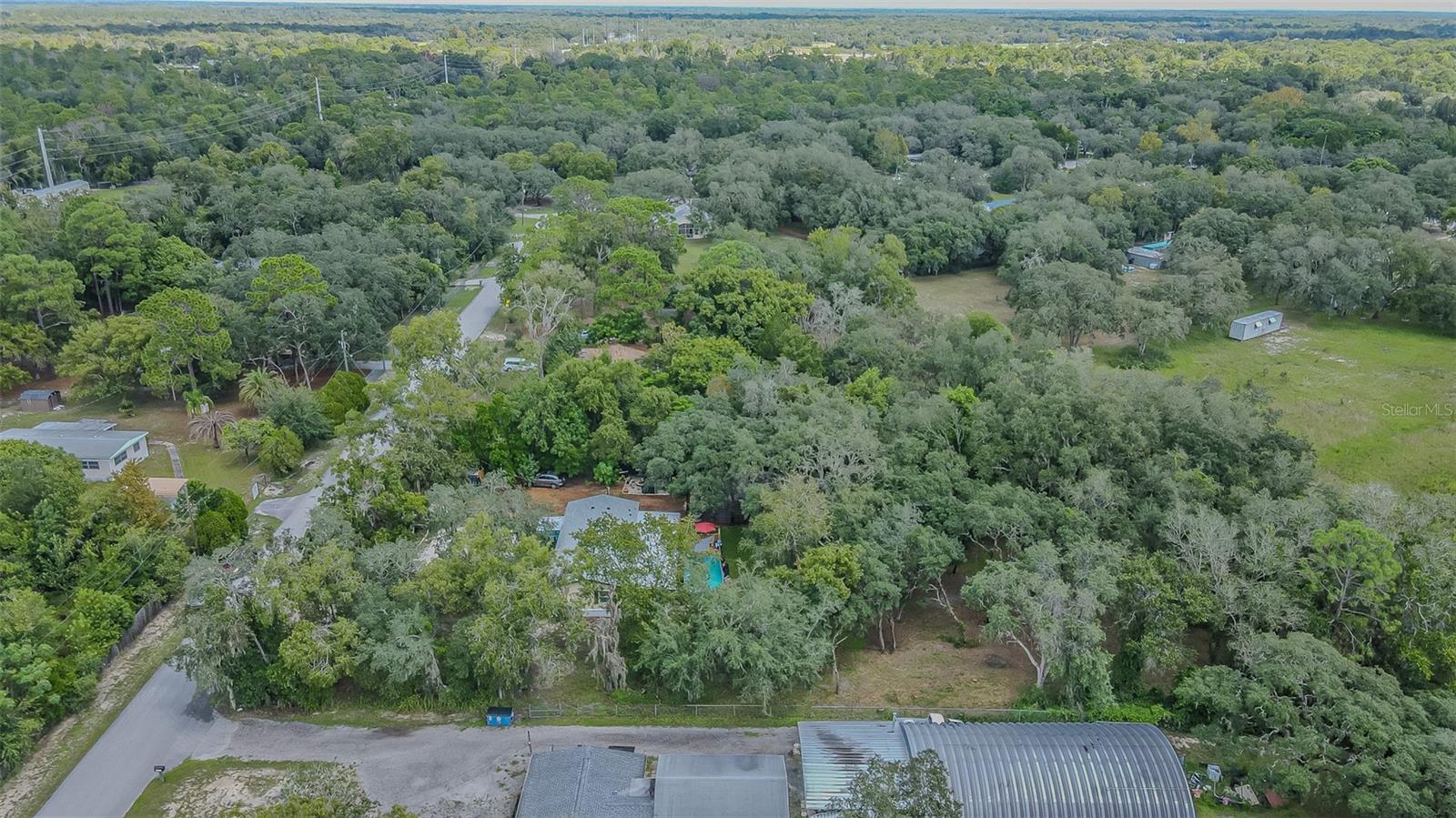11420 English Walnut St Property Photo 38