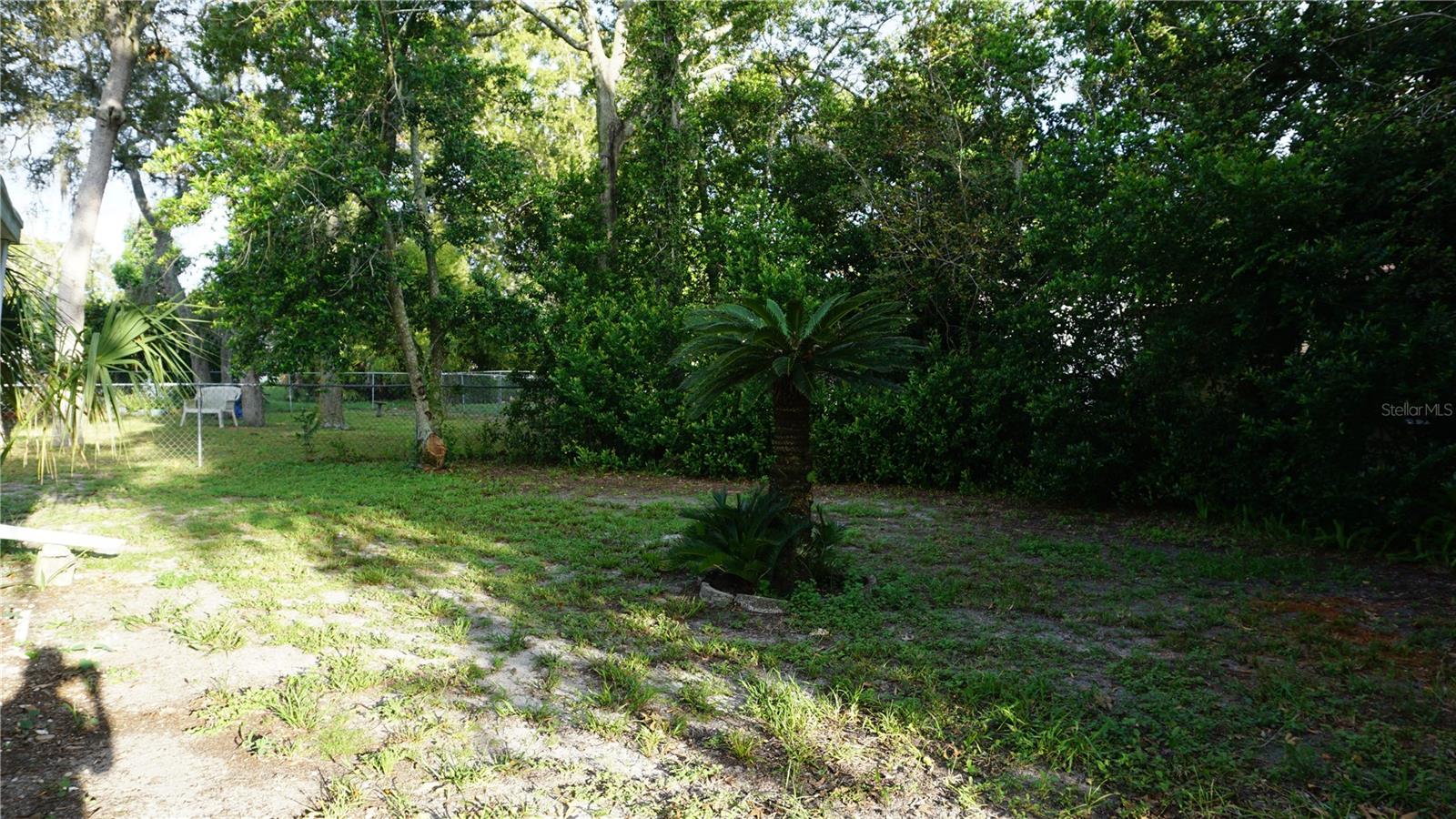 8907 Seeley Ln Property Photo 26
