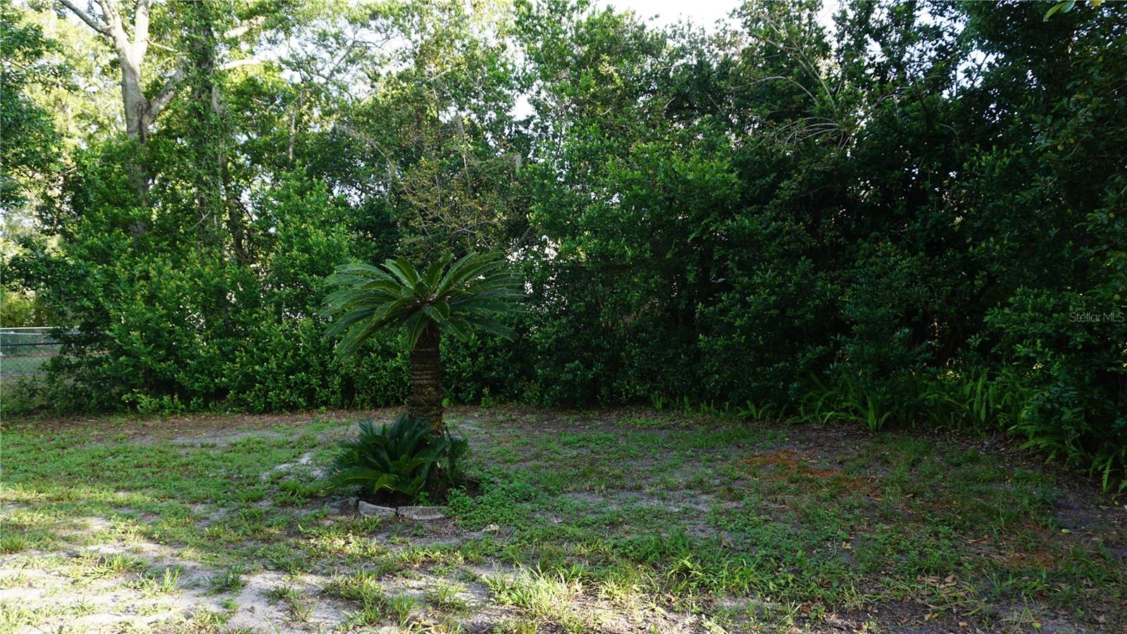 8907 Seeley Ln Property Photo 27