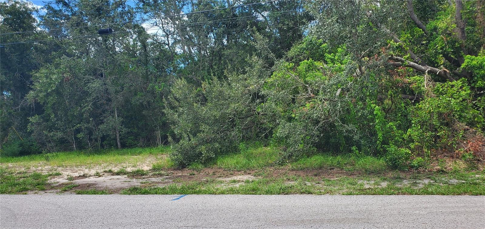 W7889108 Property Photo 3
