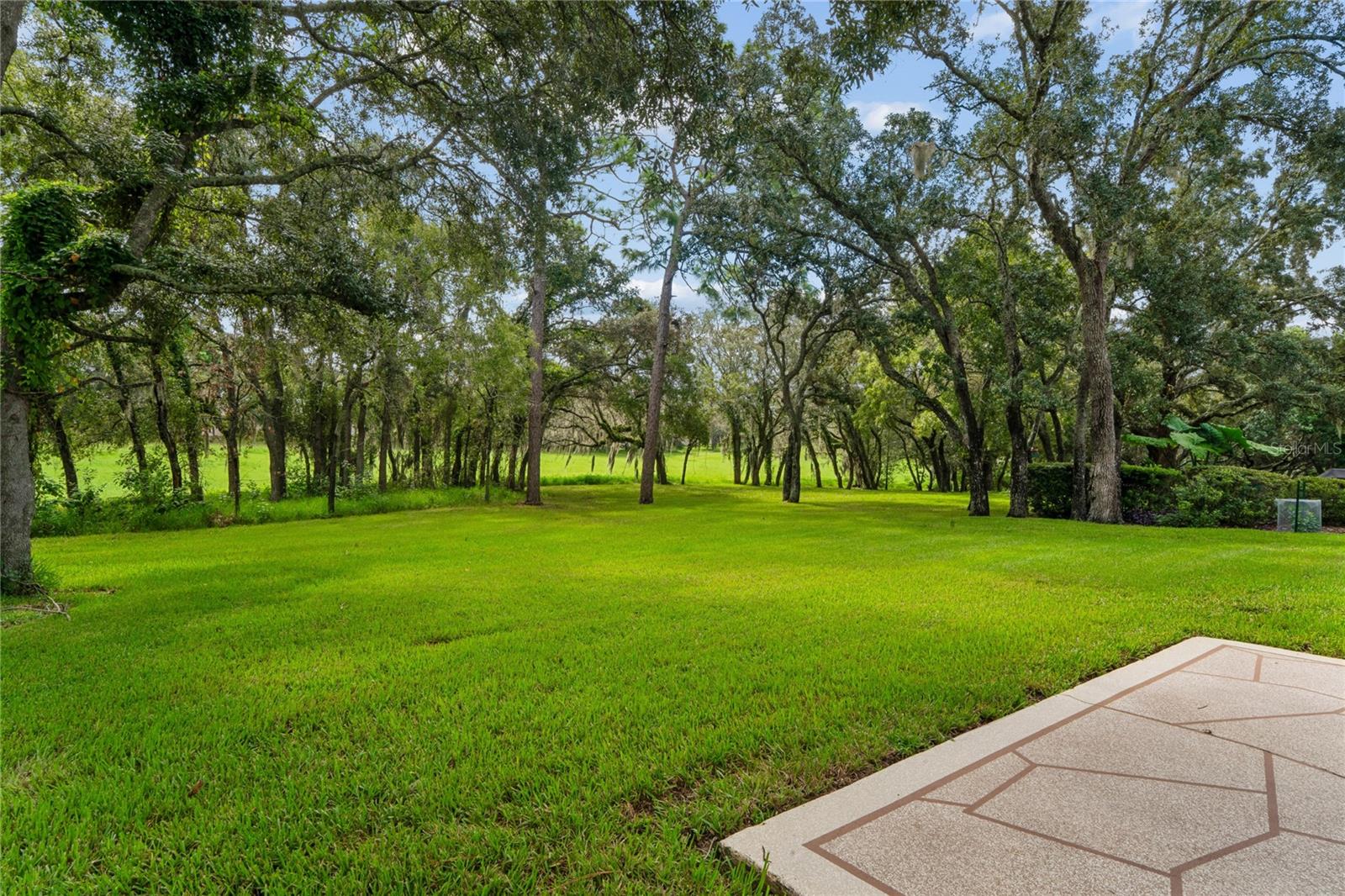 430 Candlestone Ct Property Photo 44
