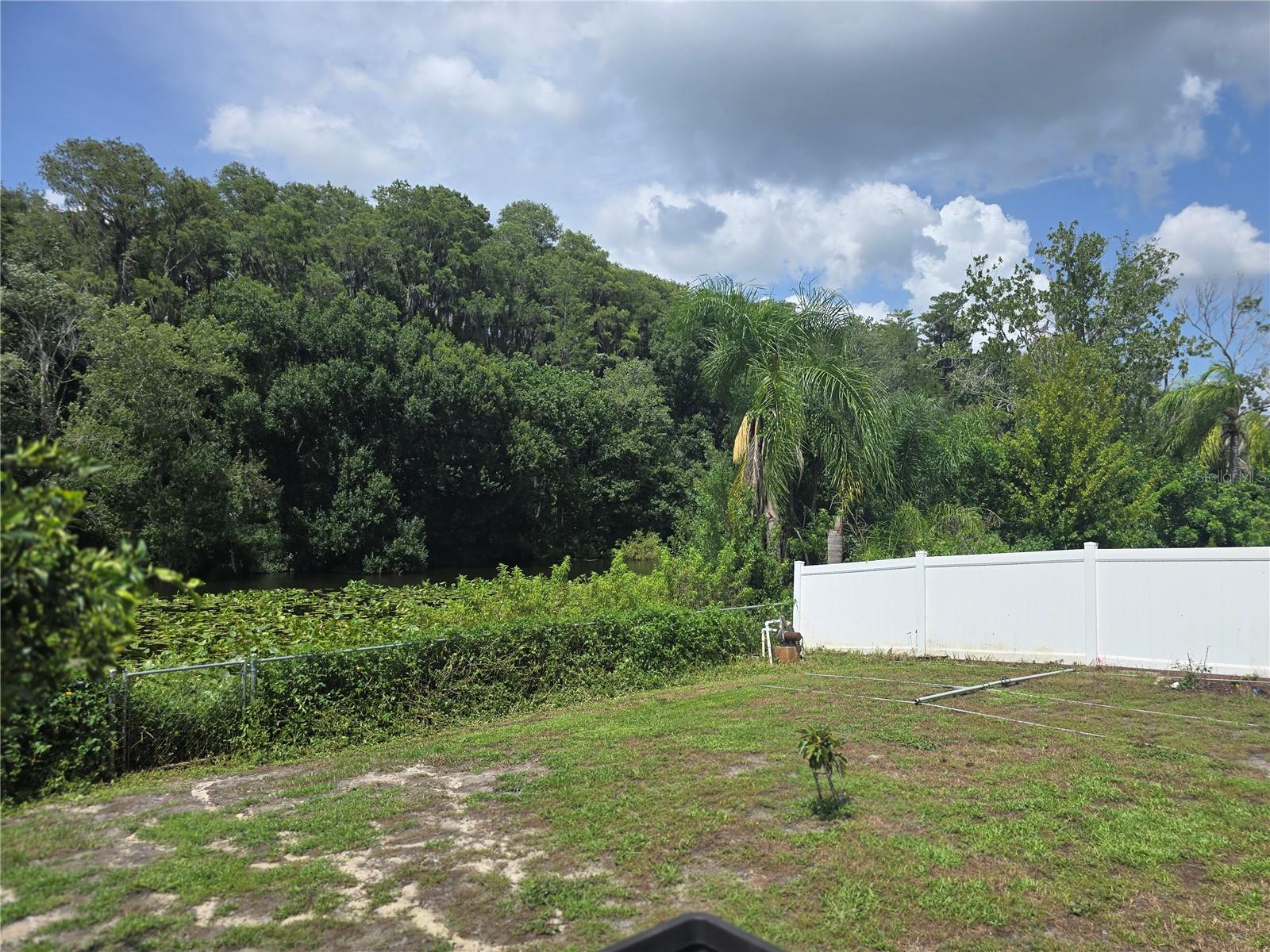 7051 Vallejo Way Property Photo 22