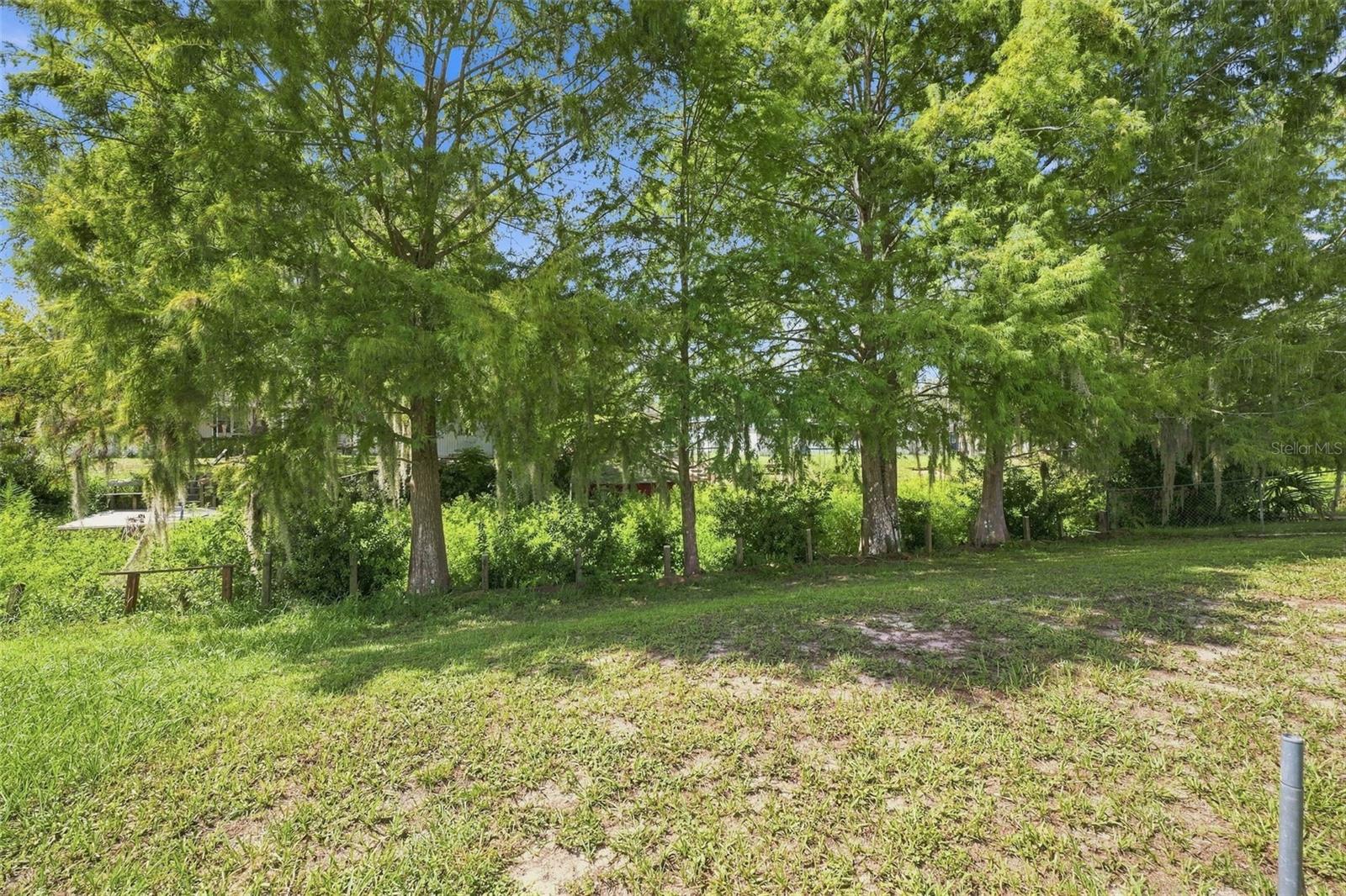 10100 Perch Ct Property Photo 25