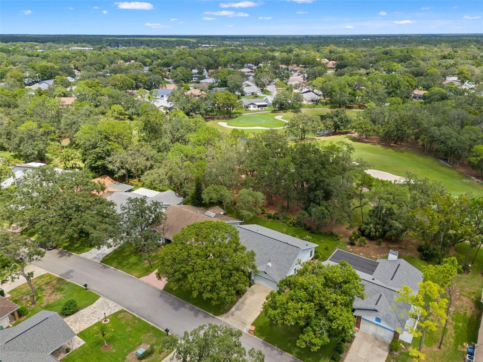 6342 Pine Meadows Dr Property Photo 42