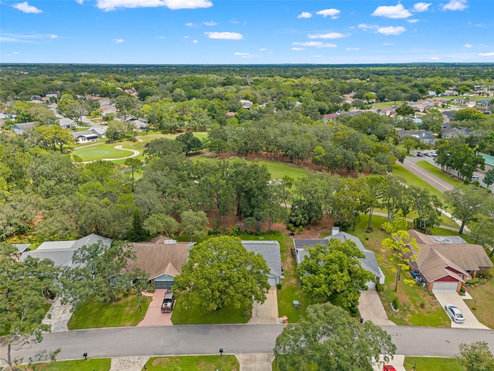 6342 Pine Meadows Dr Property Photo 43