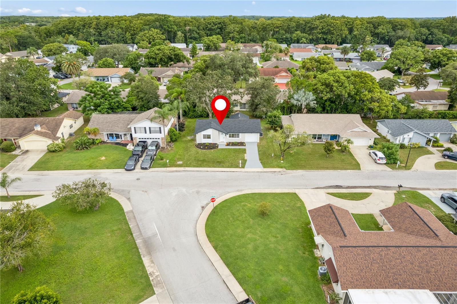 12220 Meadowbrook Ln Property Photo 38