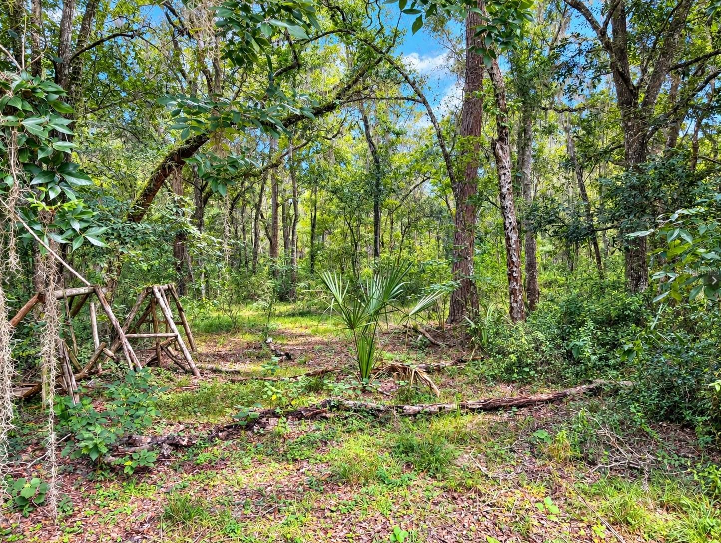 20327 Powell Rd Property Photo 14