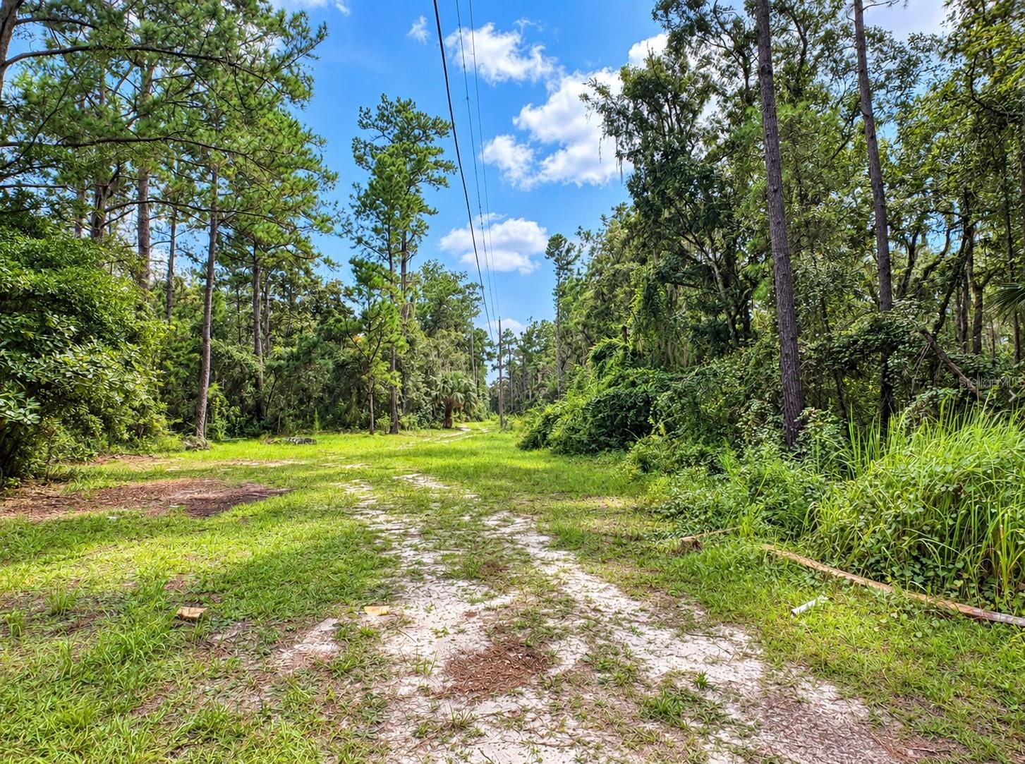 20327 Powell Rd Property Photo 15