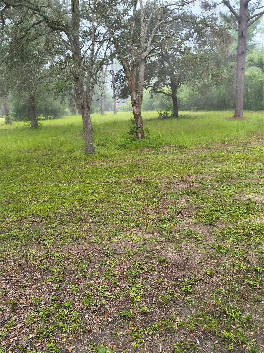 18250 Caufield Rd Property Photo 40