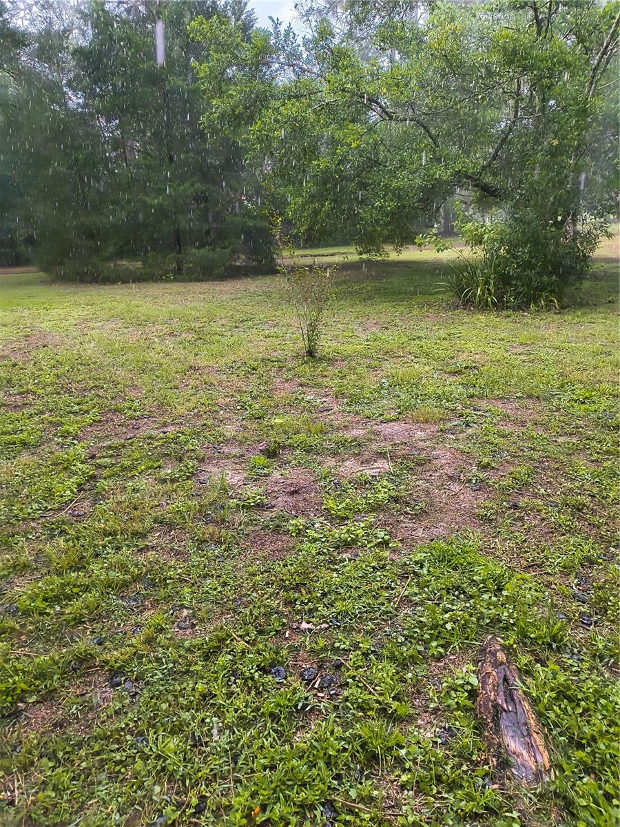 18250 Caufield Rd Property Photo 41