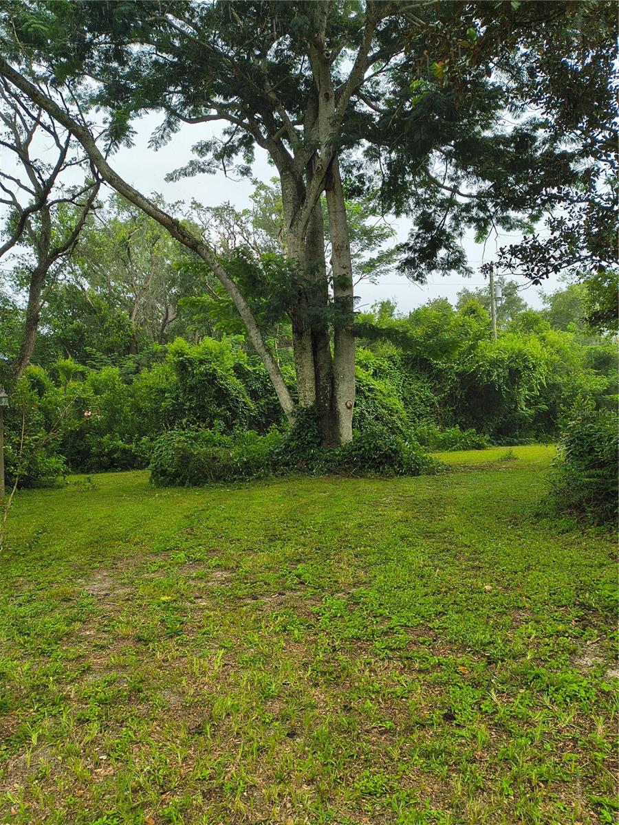 18250 Caufield Rd Property Photo 42