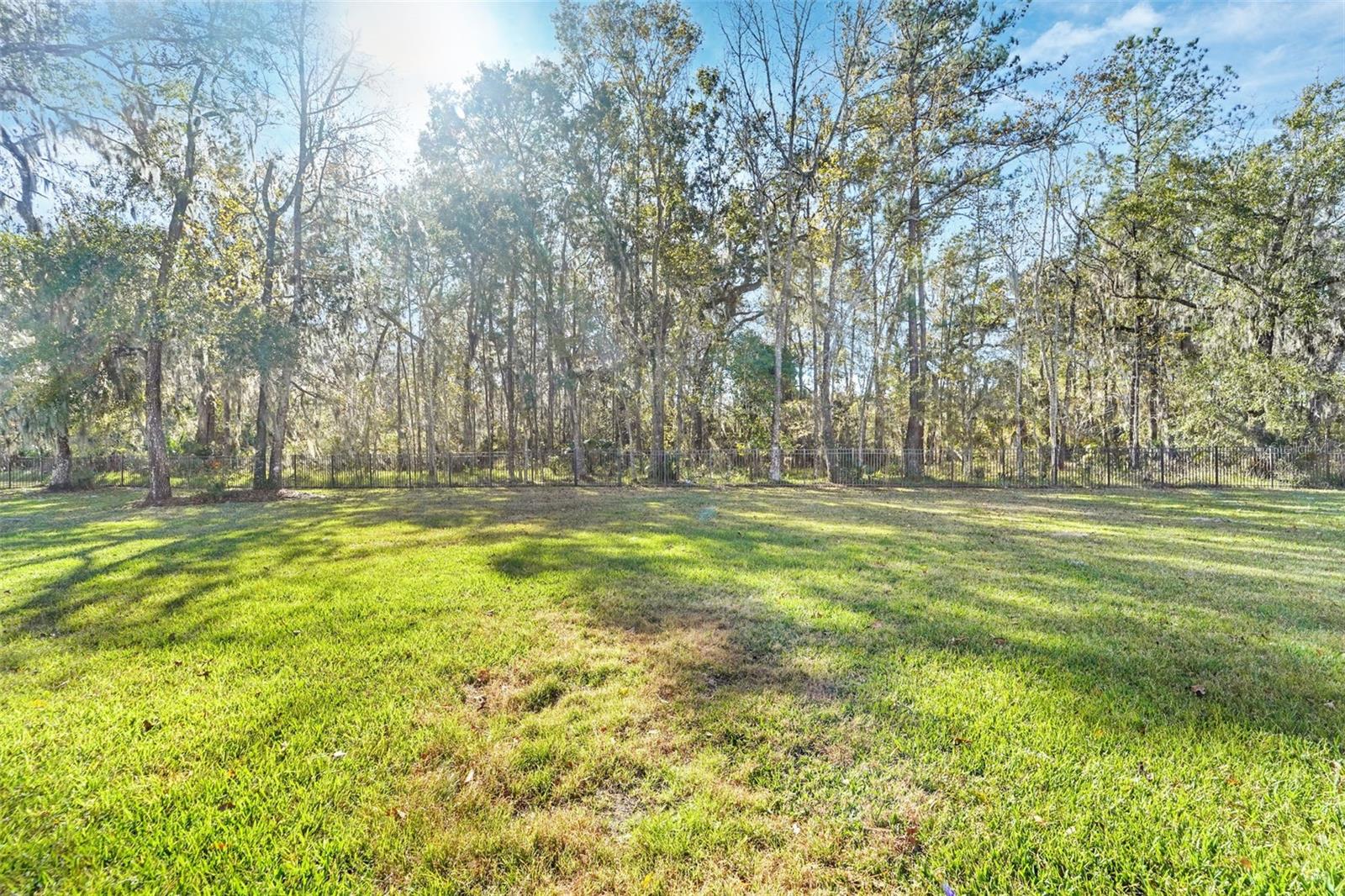 19546 Mossy Oak Ct Property Photo 35