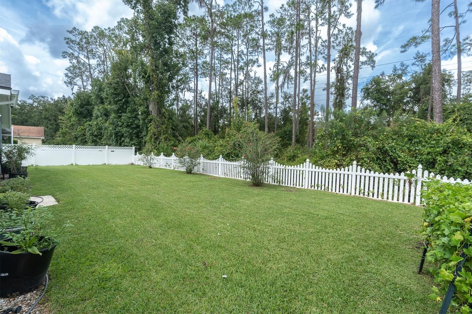 27027 Brush Creek Way Property Photo 7