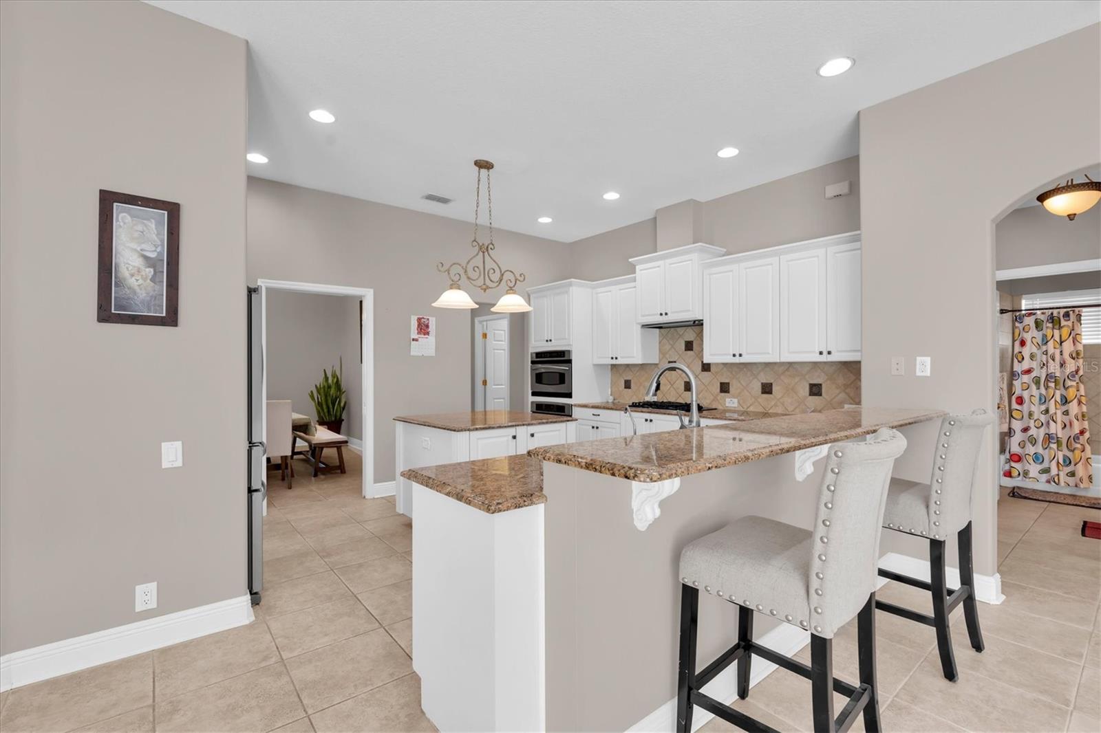27027 Brush Creek Way Property Photo 12