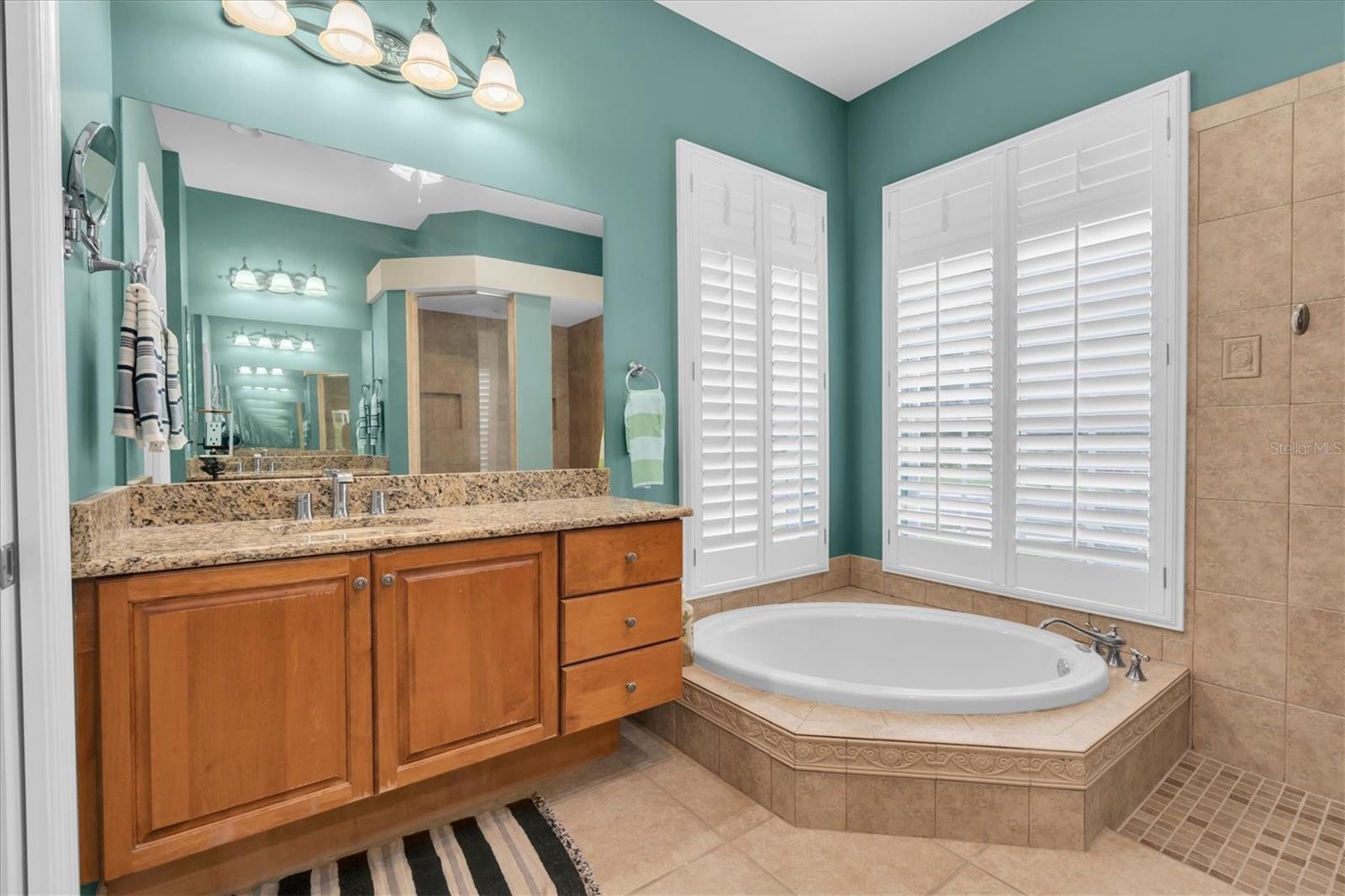 27027 Brush Creek Way Property Photo 33