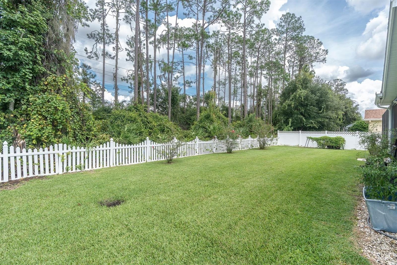 27027 Brush Creek Way Property Photo 54