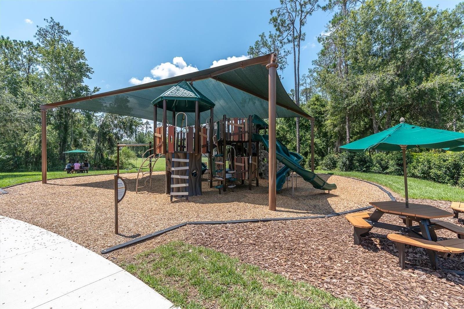 27027 Brush Creek Way Property Photo 61