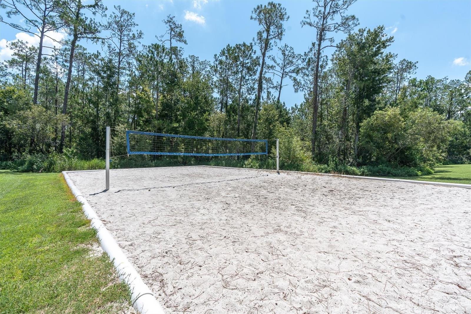 27027 Brush Creek Way Property Photo 62