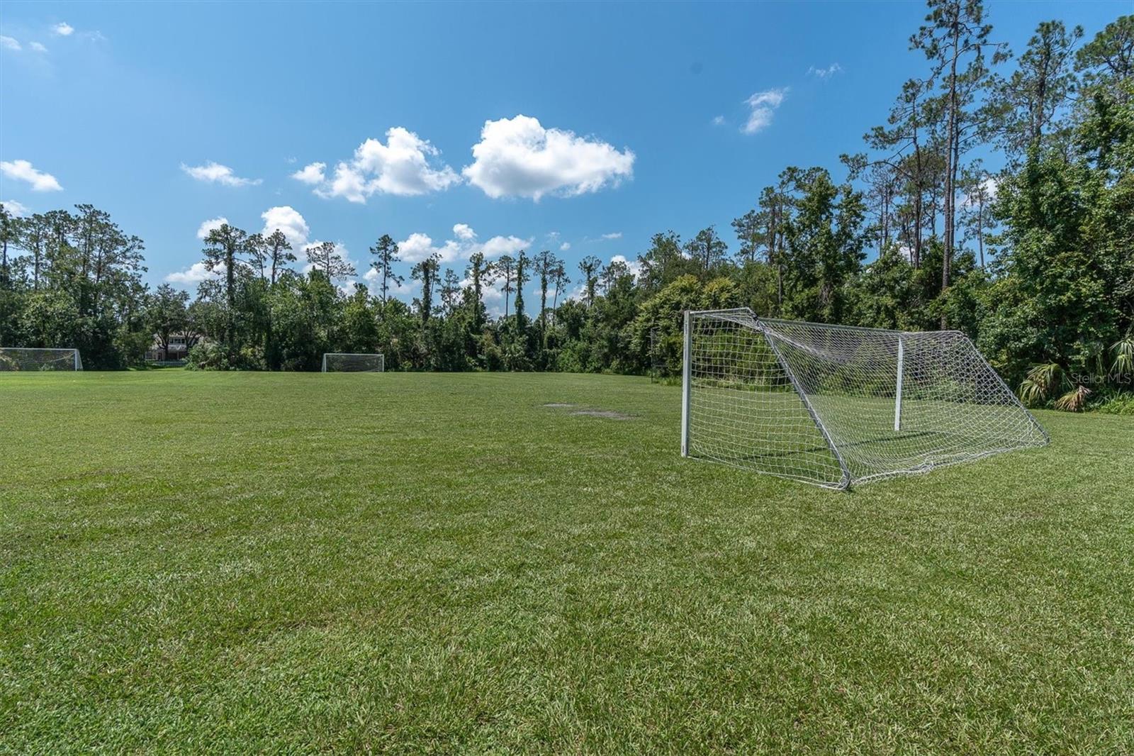 27027 Brush Creek Way Property Photo 64