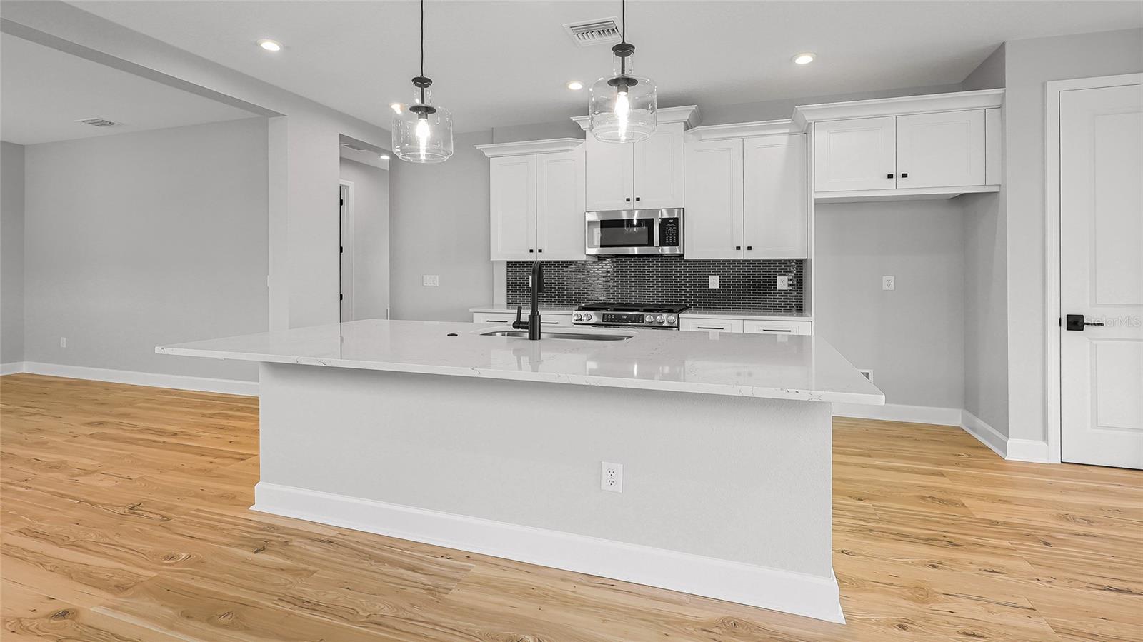 1463 Santorini Way Property Photo 6