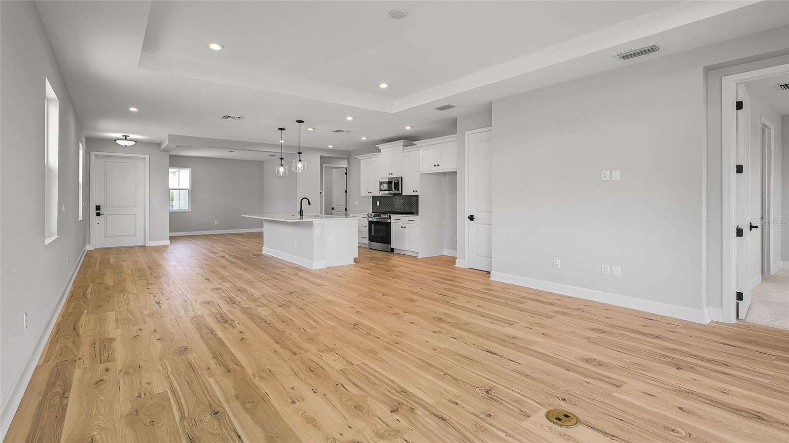1463 Santorini Way Property Photo 10