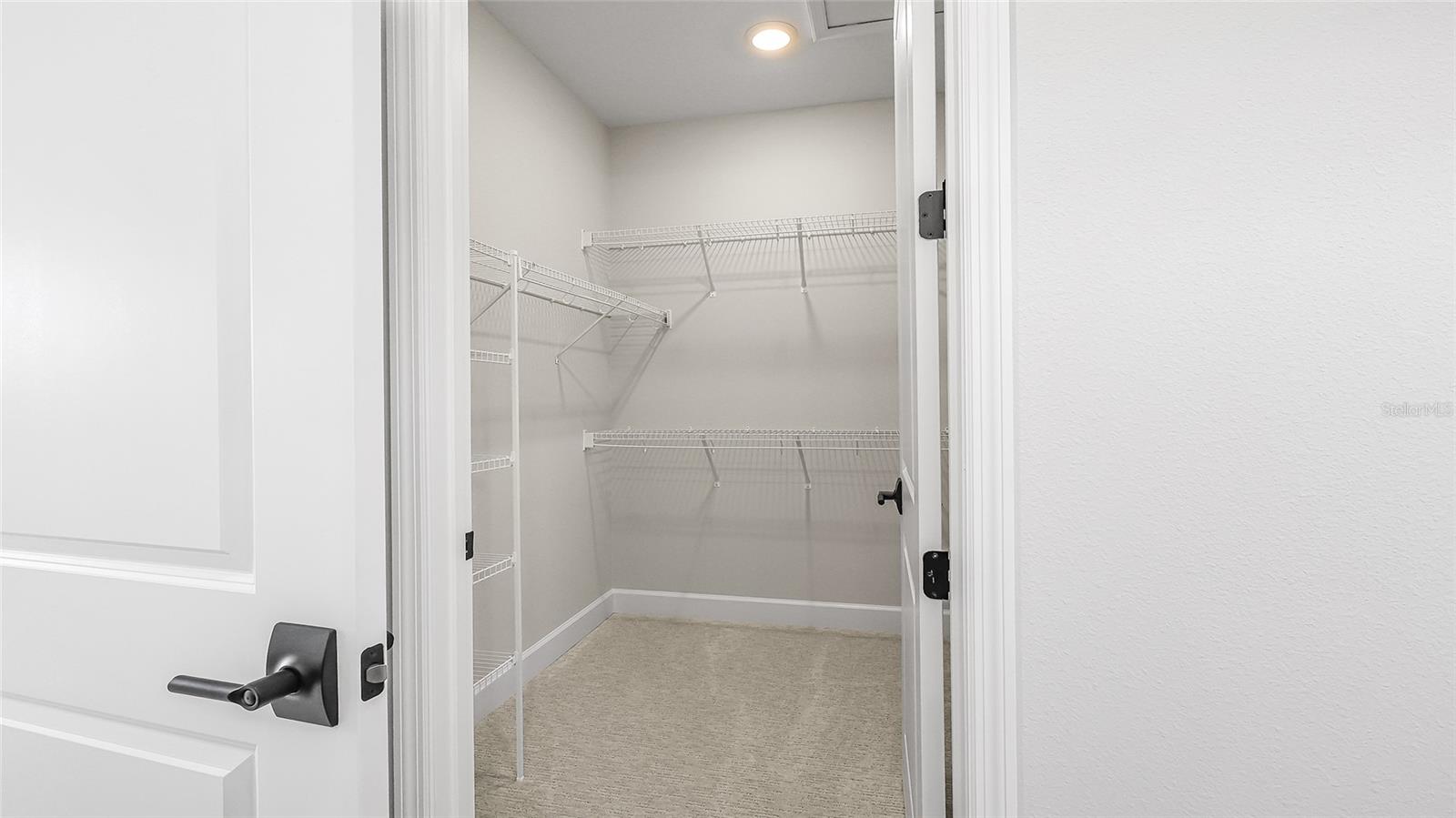 1463 Santorini Way Property Photo 21