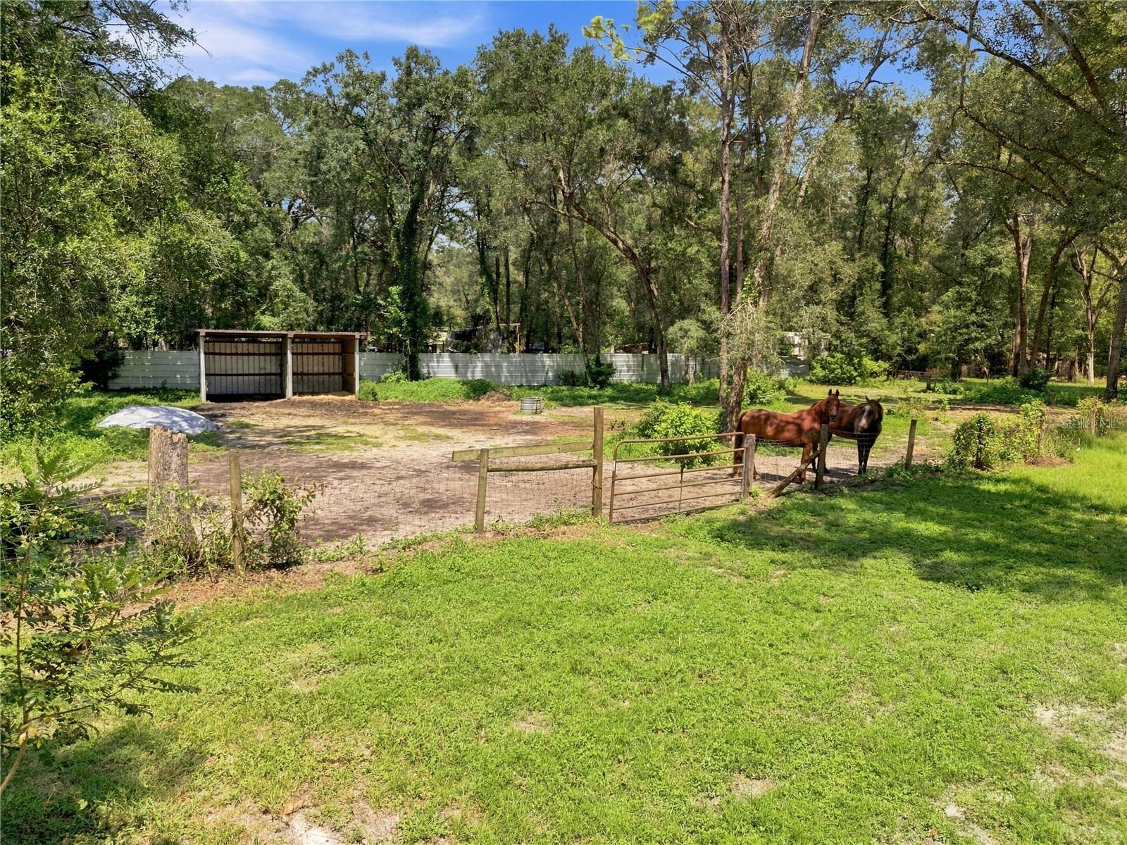 7395 Robb Rd Property Photo 40