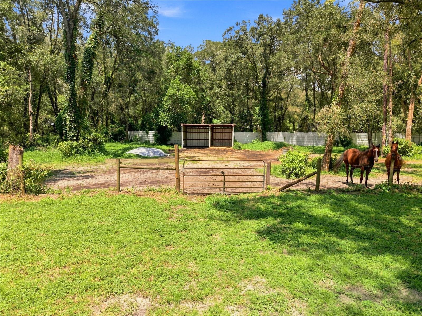 7395 Robb Rd Property Photo 41