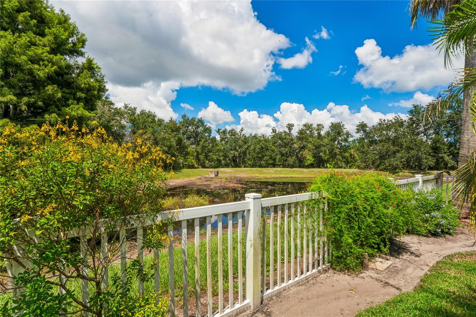 23218 Cypress Trail Dr Property Photo 61