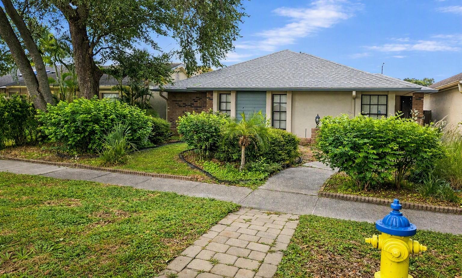 8008 La Serena Dr Property Photo 1