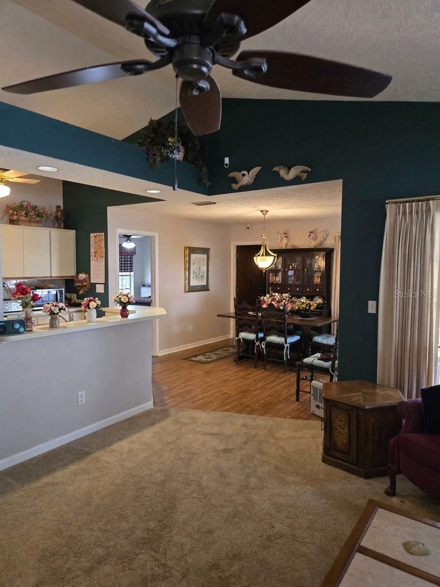 8008 La Serena Dr Property Photo 4