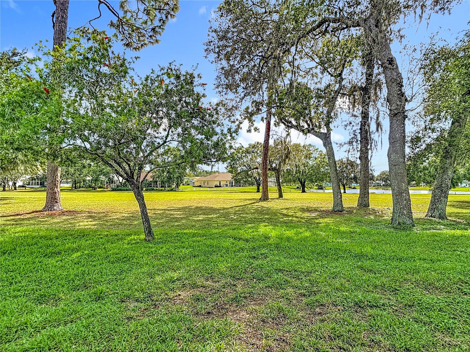 13510 Knotty Ln Property Photo 55