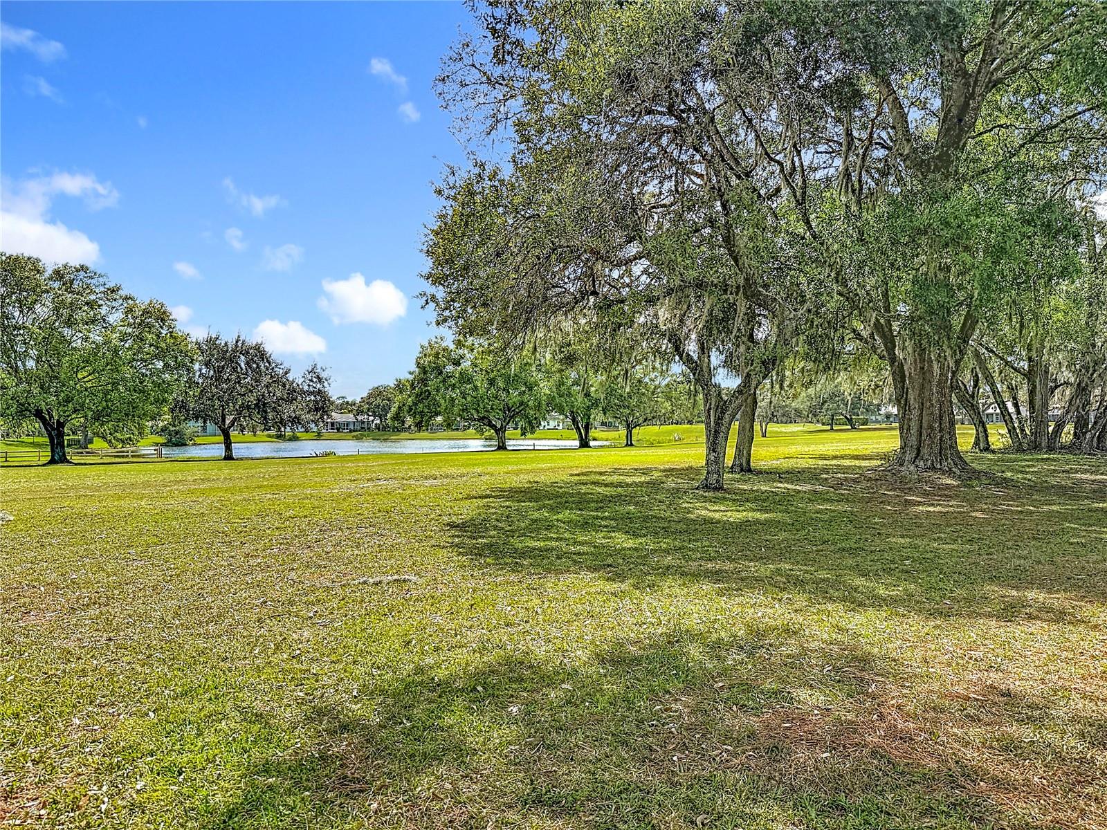 13510 Knotty Ln Property Photo 61