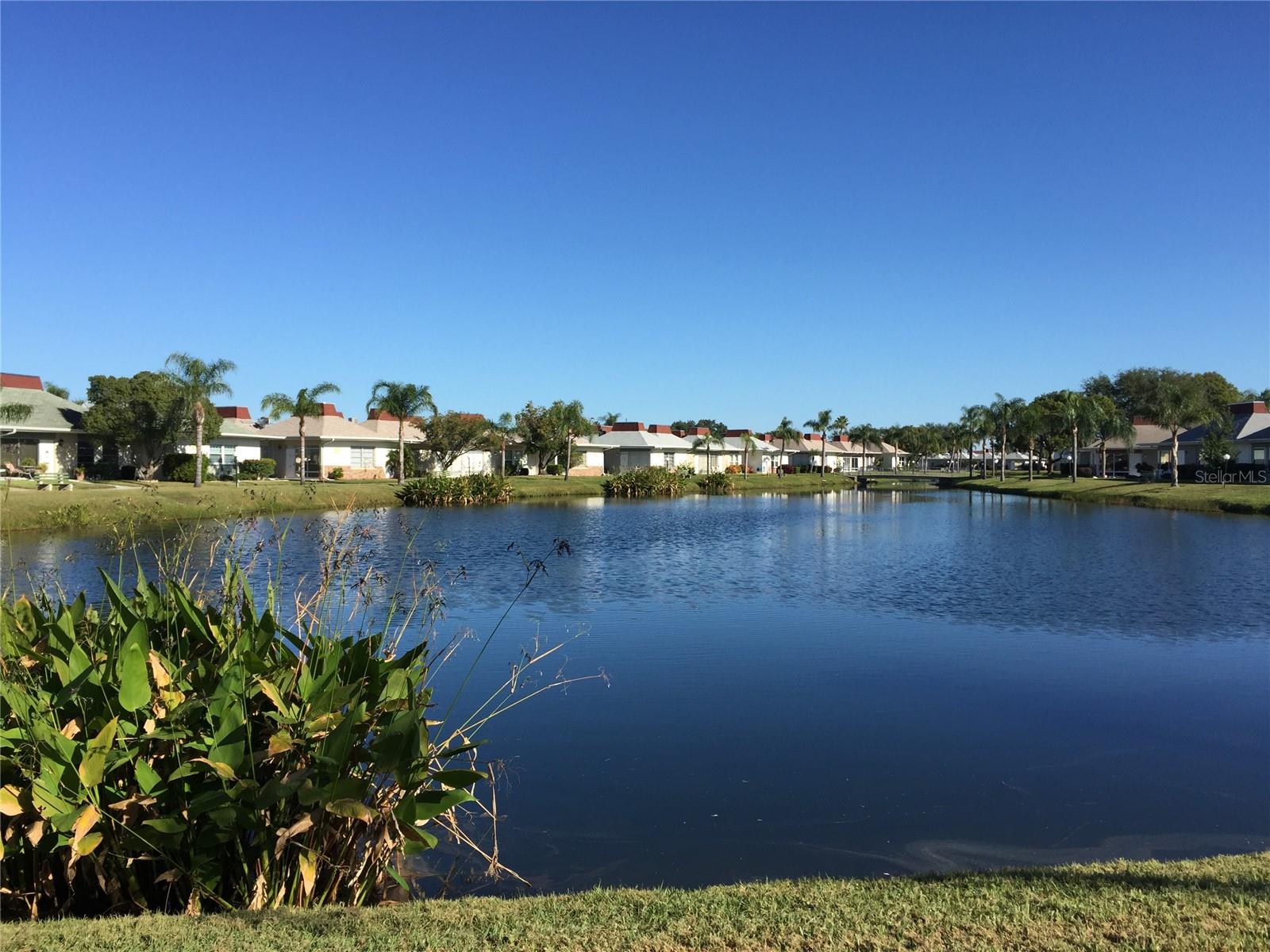 4345 Tahitian Gardens Cir #e Property Photo 21