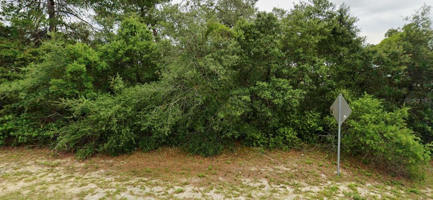 Lot 19 Sw 137th Loop Property Photo 1